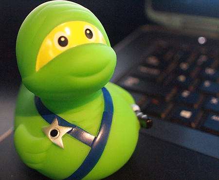 Ninja Duck Ninja Duck