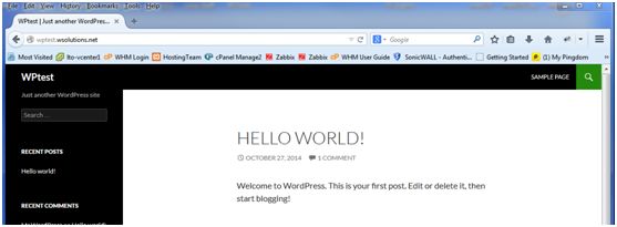 DNS Verification