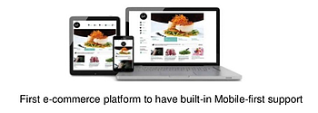 Mobile -First EPiSever Condor