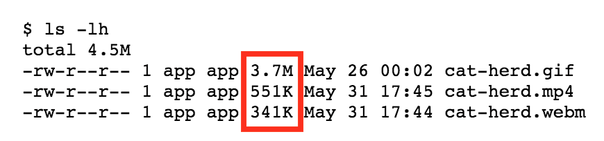 blog-gif-video-file-size-comparison
