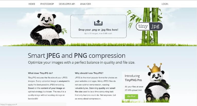 tingpng-jpg-image-compression-site.jpg