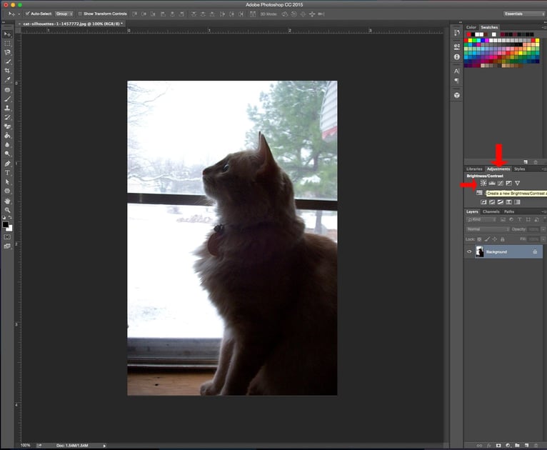 Brightness_Contrast_1.jpg