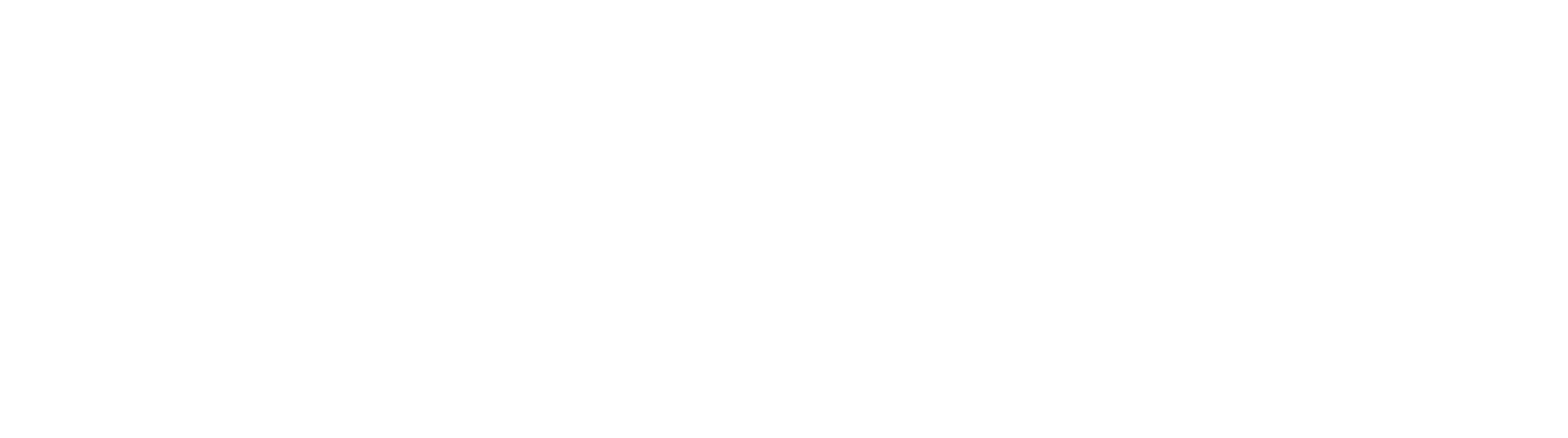 Horizontal_Platinum_Contributing_Partner_2024_White