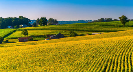 Building a custom shopping cart reengagement strategy for a leading farm equipment manufacturer.
