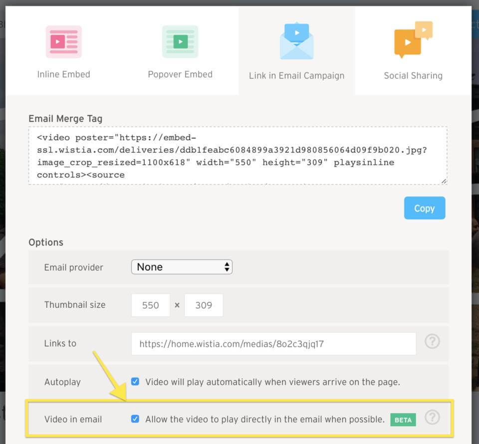 Wistia email embed options
