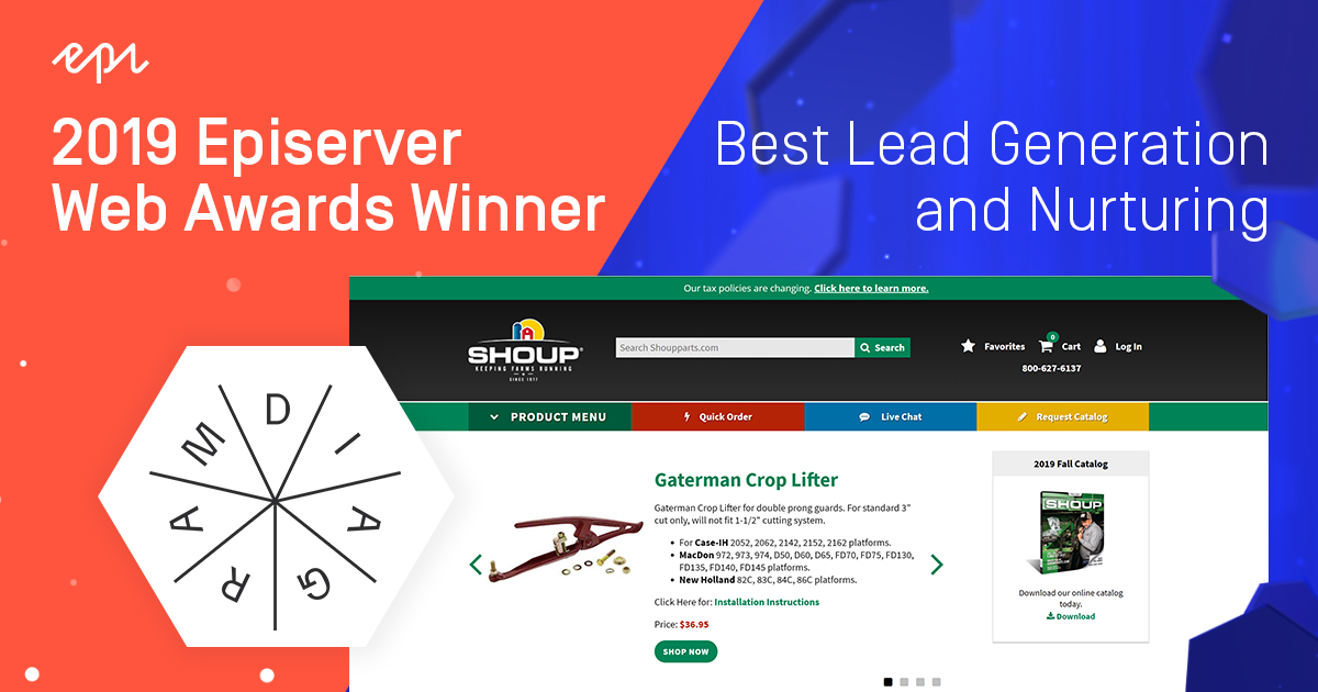 2019 Episerver Web Awards Winner