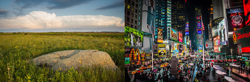 Tranquil and Busy Landscapes Tranquil and Busy Landscapes